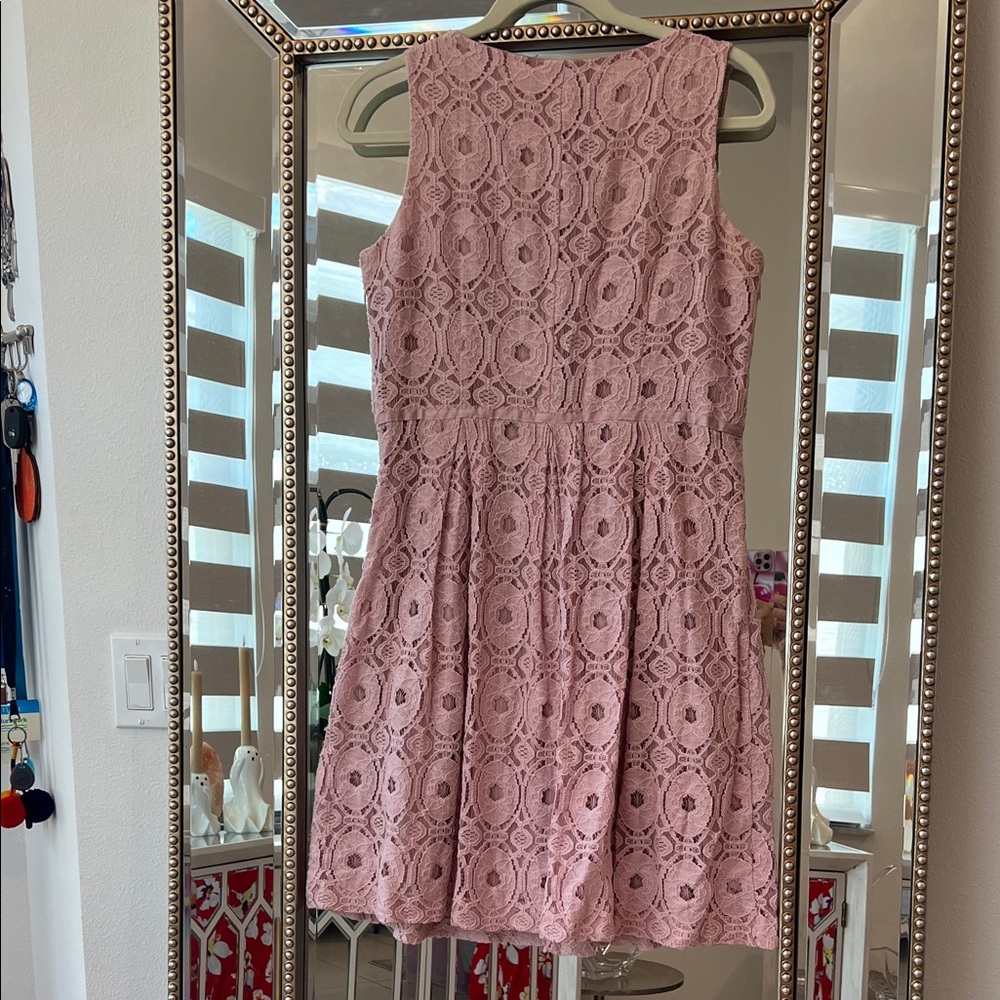 Ronni Nicole Blush Lace Mini Dress - Picture 5 of 6